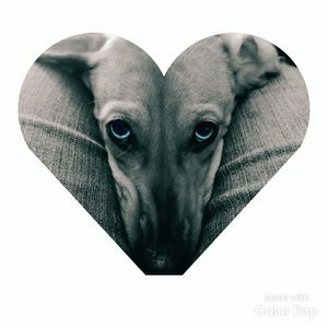 Meet your Posher, Sona